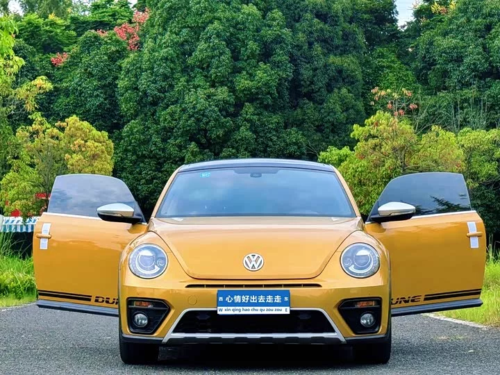 Volkswagen Beetle