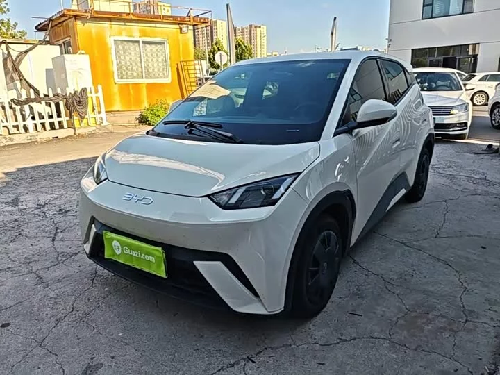 BYD seagull