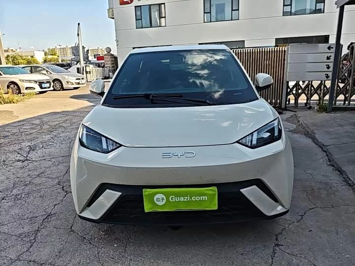 BYD seagull