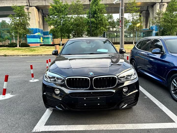 BMW X6