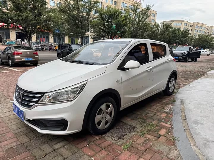 Baojun 310