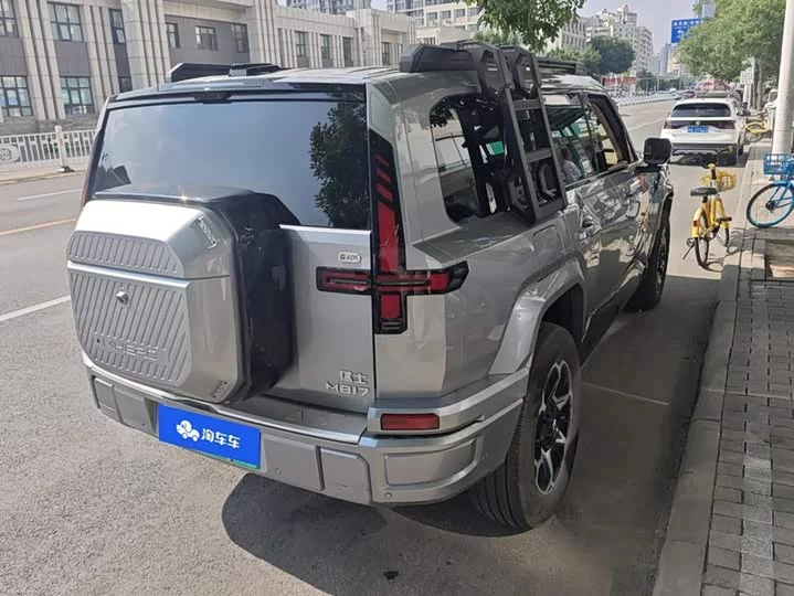 Mengshi M817