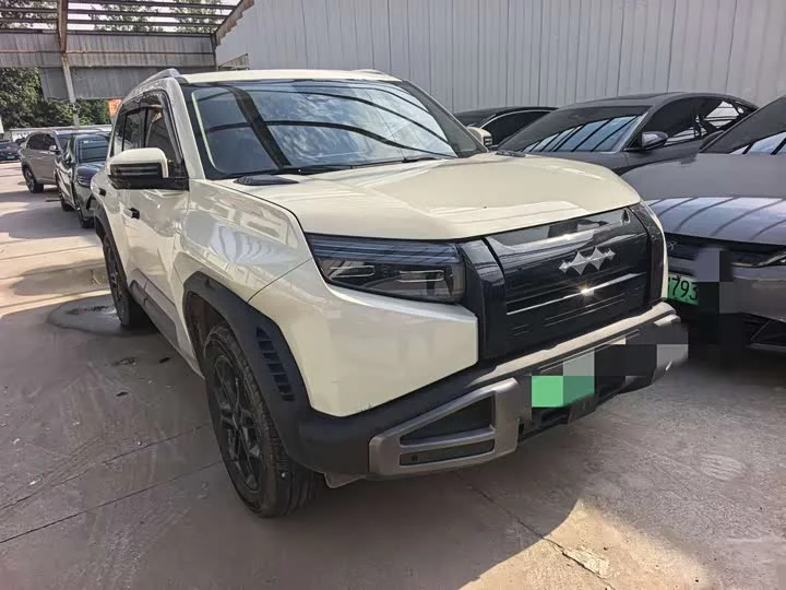 BYD Leopard Titanium 3