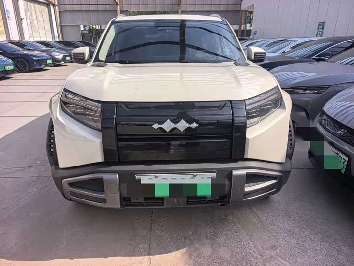 BYD Leopard Titanium 3