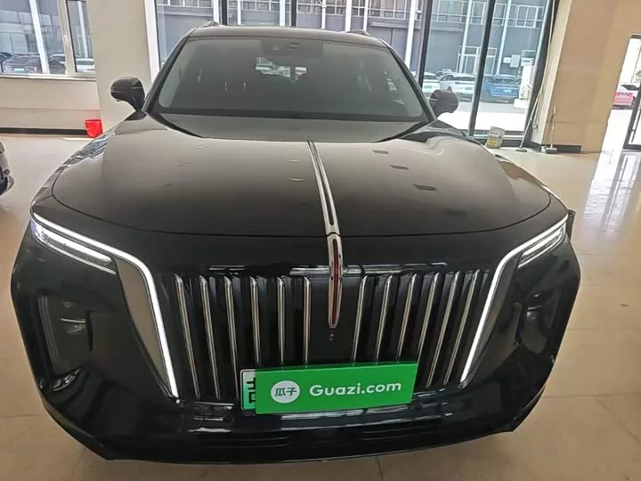 Hongqi E-HS9