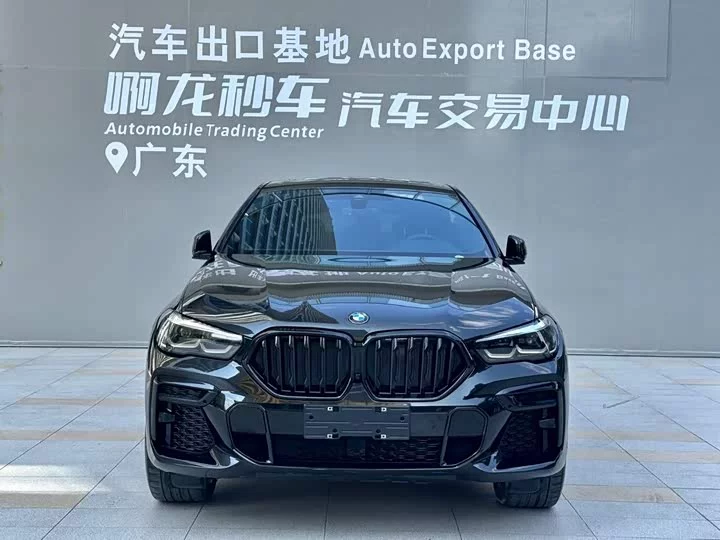 BMW X6