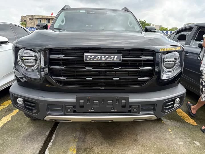 Haval Big Dog DaGou
