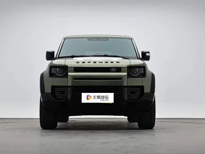 Land Rover guard