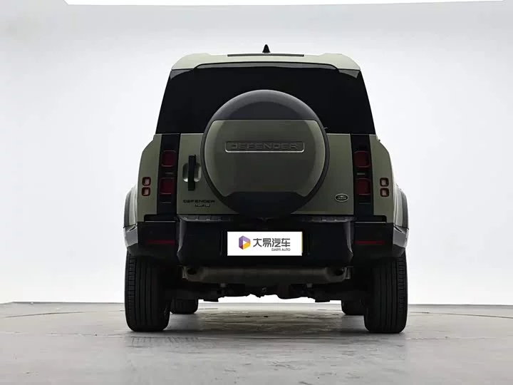 Land Rover guard
