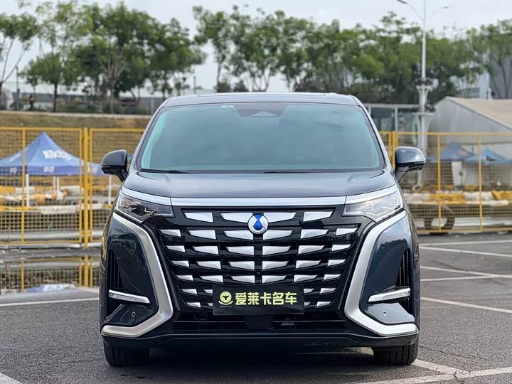 Denza D9