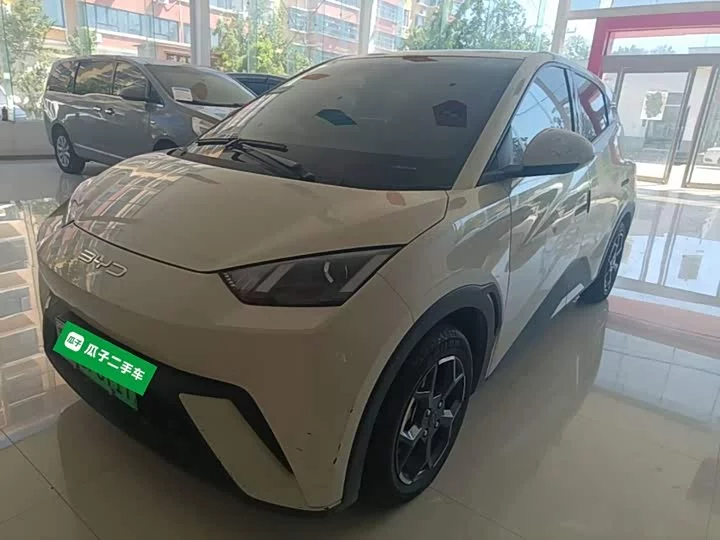 BYD seagull