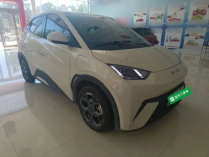 BYD seagull