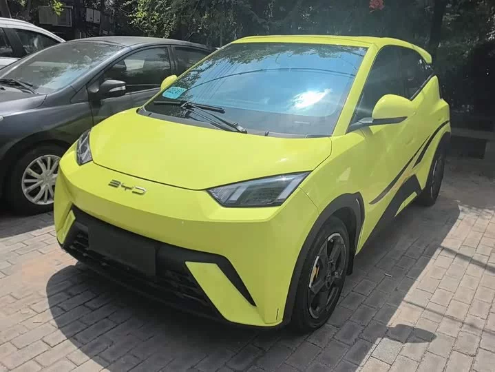 BYD seagull
