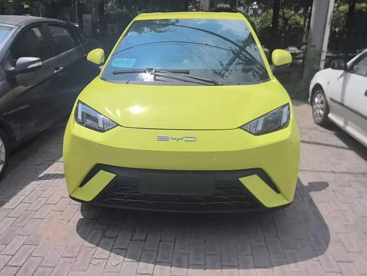 BYD seagull