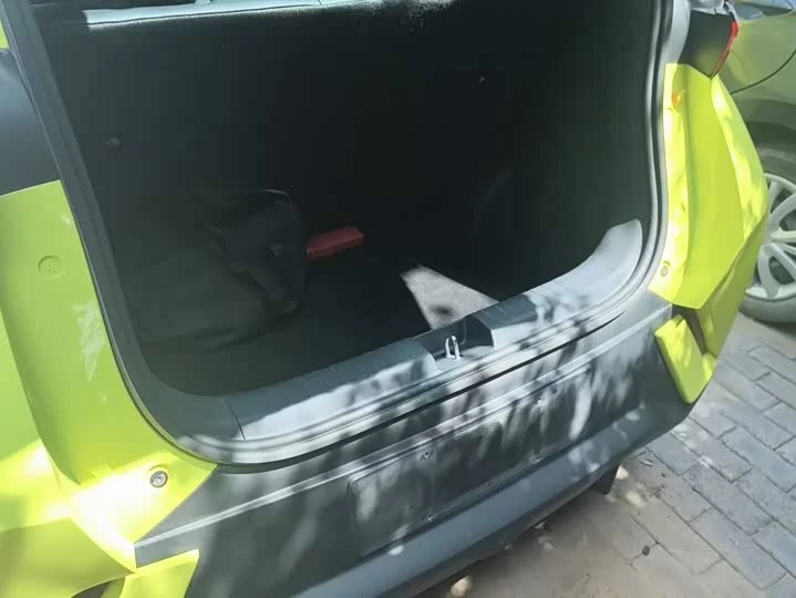 BYD seagull