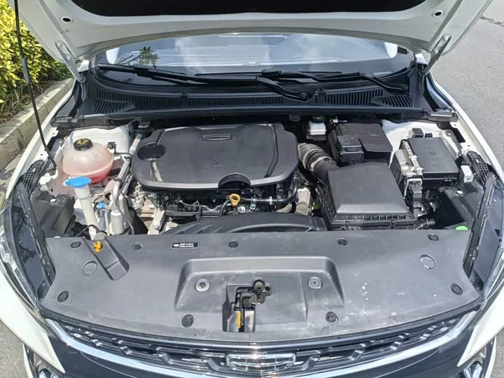 Geely Binrui