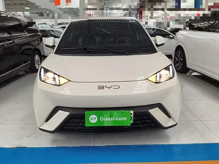 BYD seagull