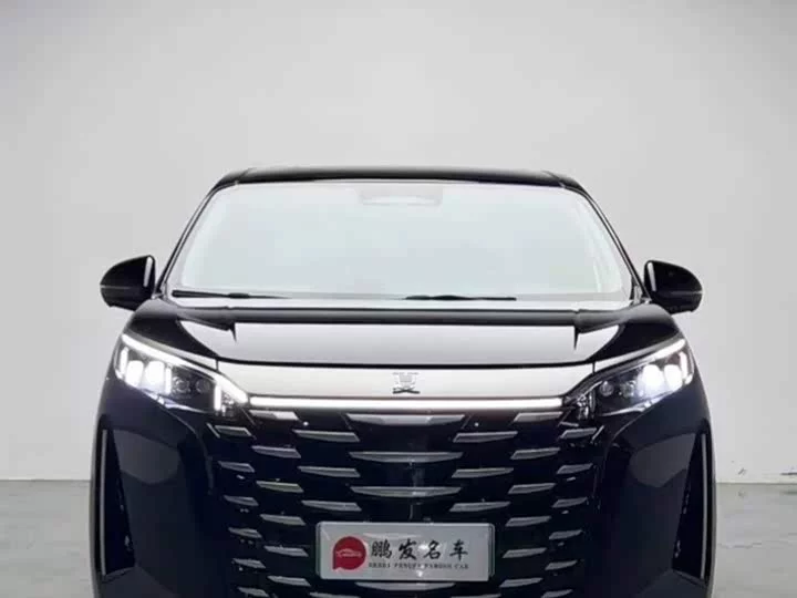 BYD summer