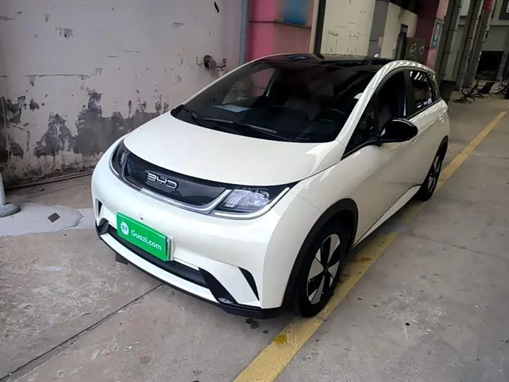 BYD dolphin