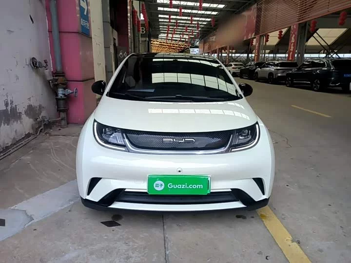 BYD dolphin