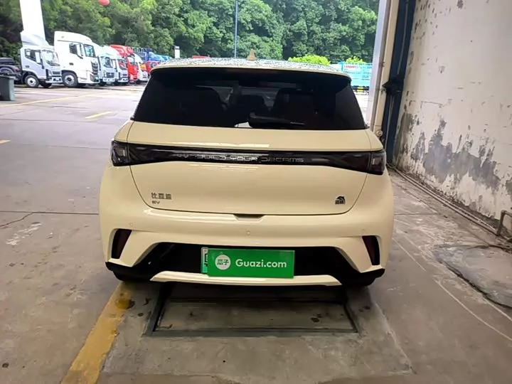 BYD dolphin