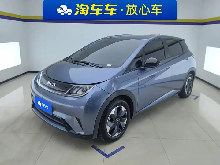 BYD dolphin