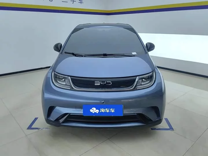 BYD dolphin