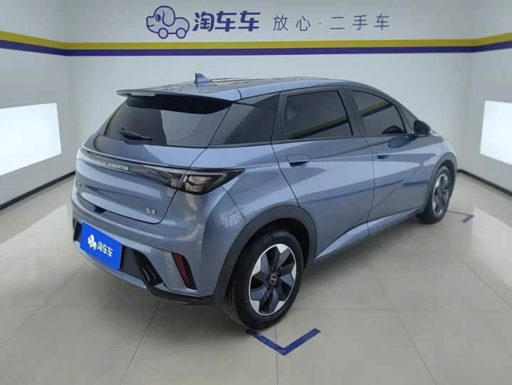 BYD dolphin