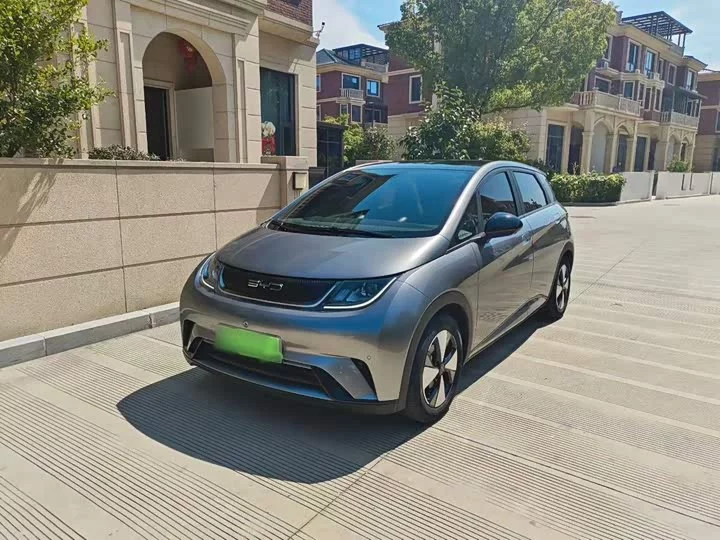 BYD dolphin