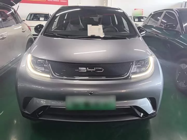 BYD dolphin