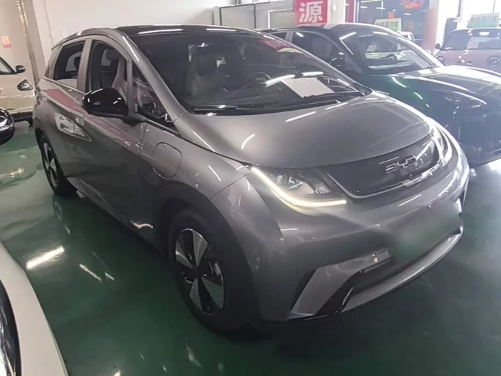 BYD dolphin
