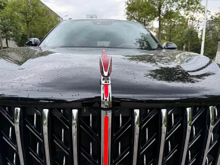 Hongqi HS5