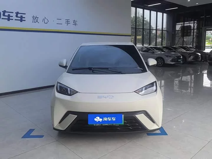 BYD seagull