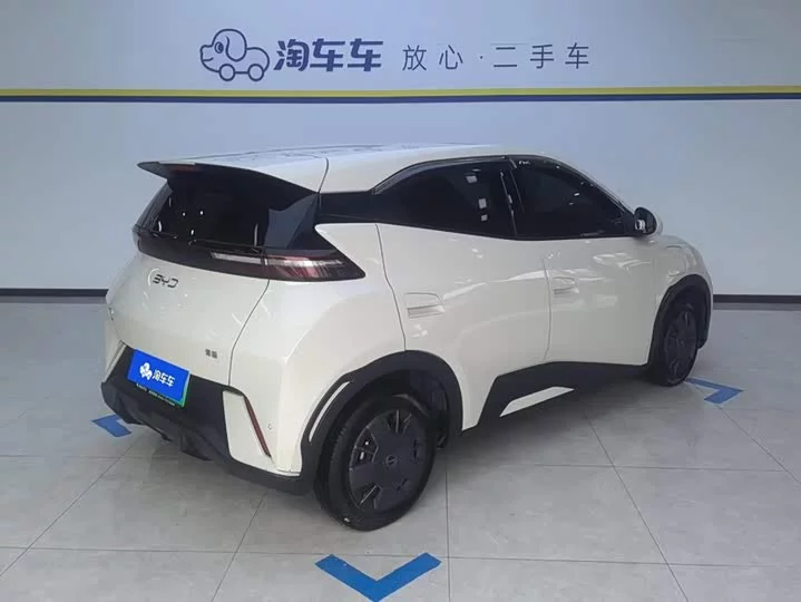 BYD seagull