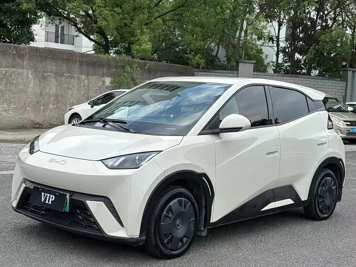 BYD seagull