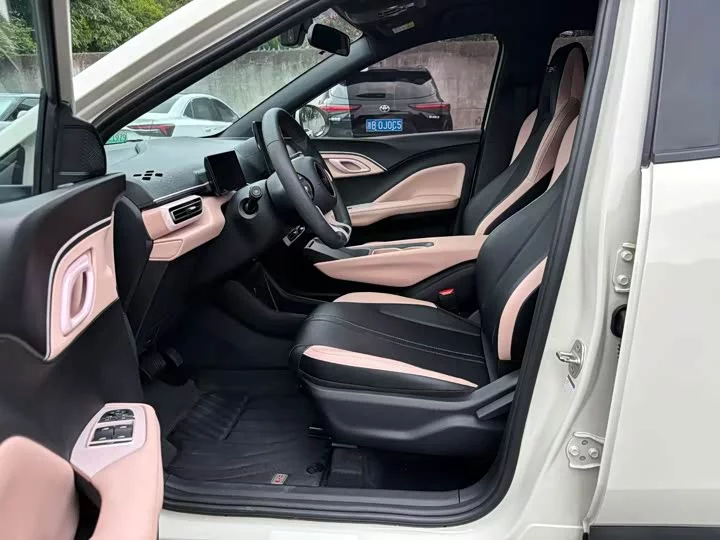 BYD seagull