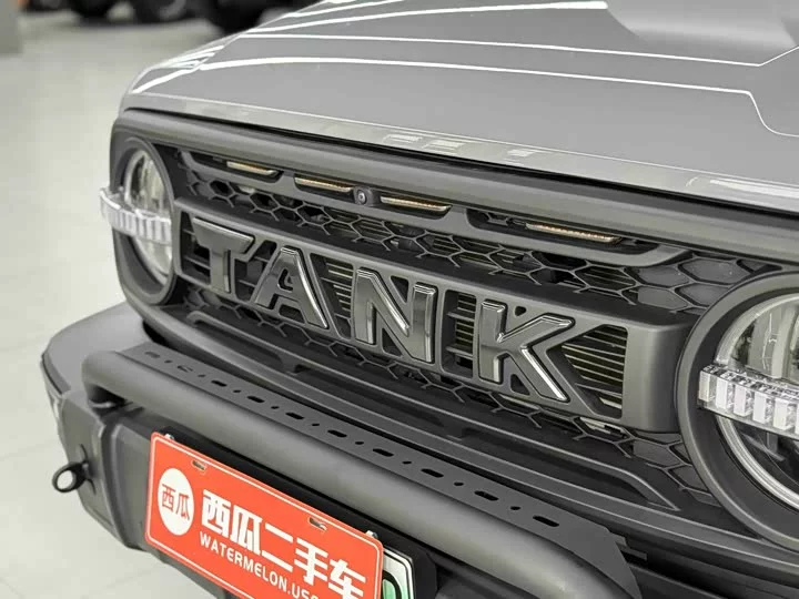 tank 300 New Energy