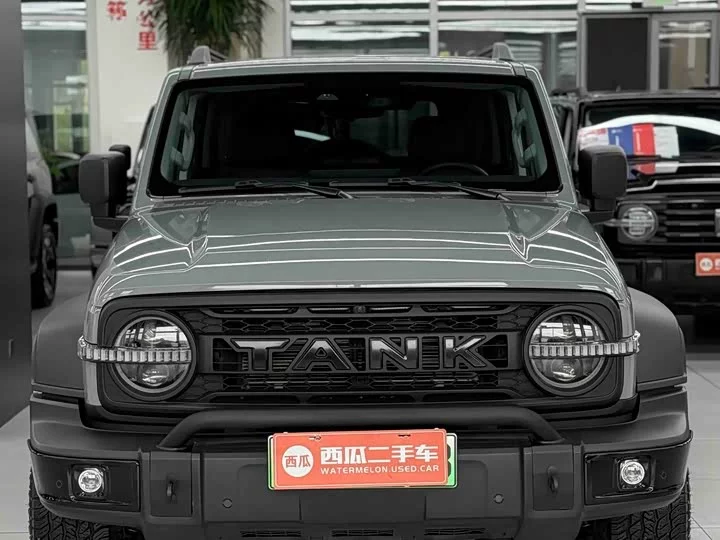 tank 300 New Energy
