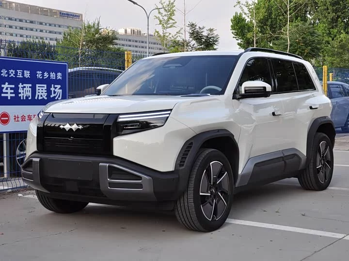 BYD Leopard Titanium 3