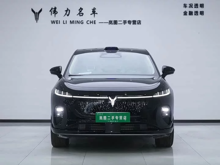 Lantu Automobile Lantu Zhiyin