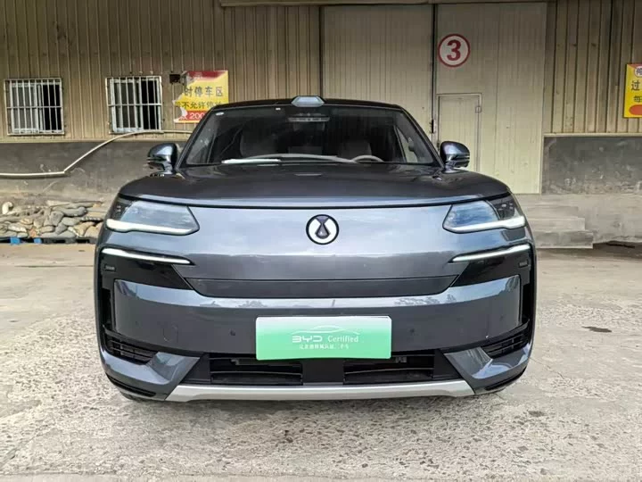 Denza N9