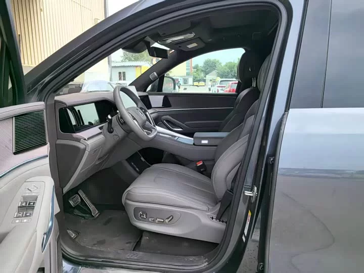 Denza N9