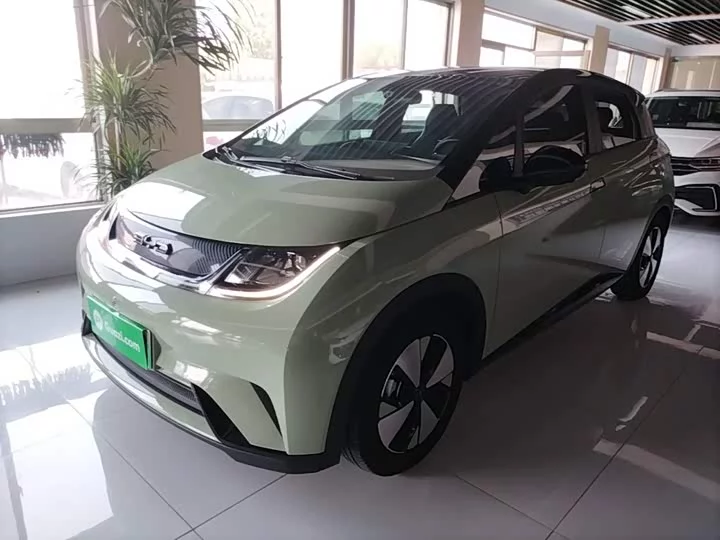 BYD dolphin
