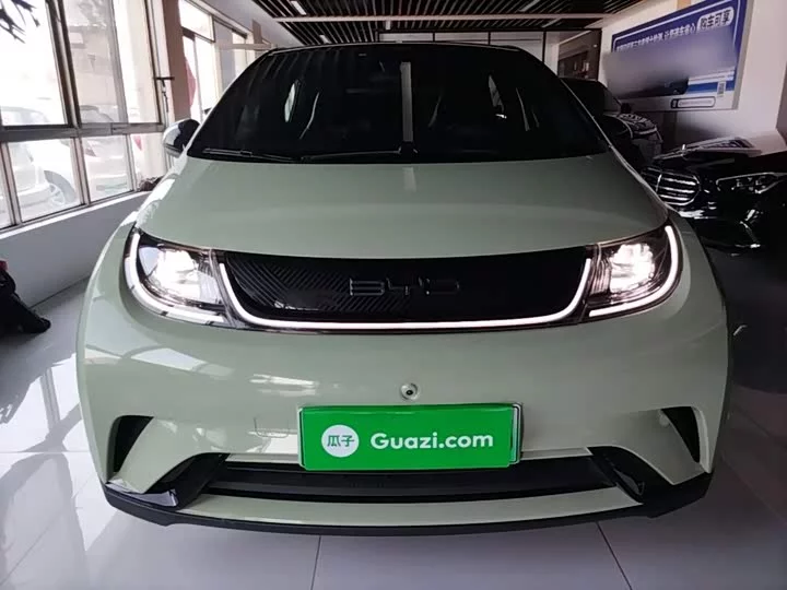 BYD dolphin