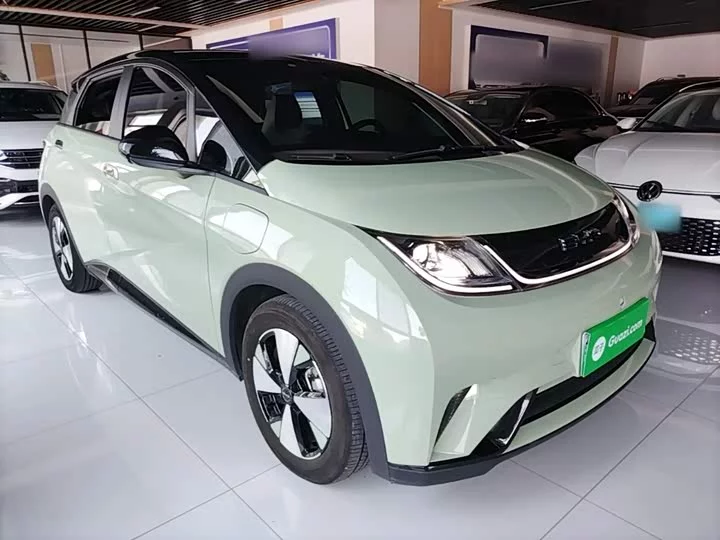 BYD dolphin