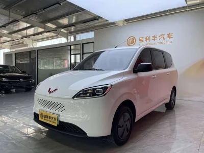 Wuling Hongguang New Energy