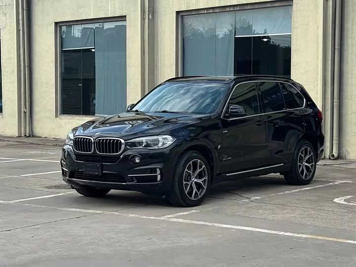 BMW X5 New Energy
