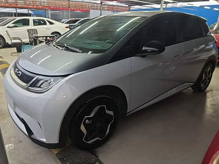 BYD dolphin
