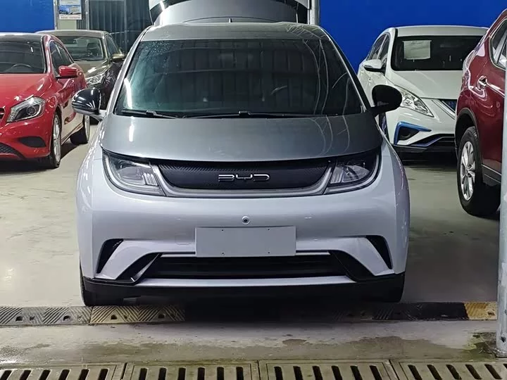 BYD dolphin