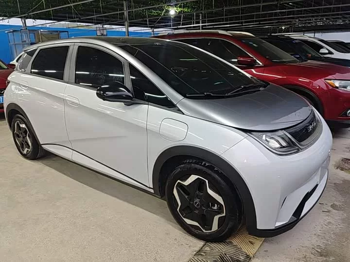 BYD dolphin